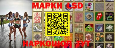 гашик Камышлов