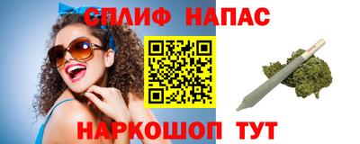 гашик Камышлов