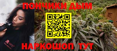 гашик Камышлов