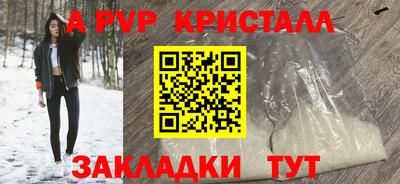 гашик Камышлов