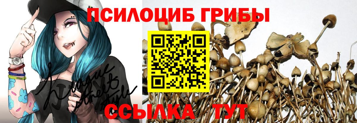 Псилоцибиновые грибы прущие грибы  Вход с VPN  Галлюциногенные грибы прущие грибы  Ливны 