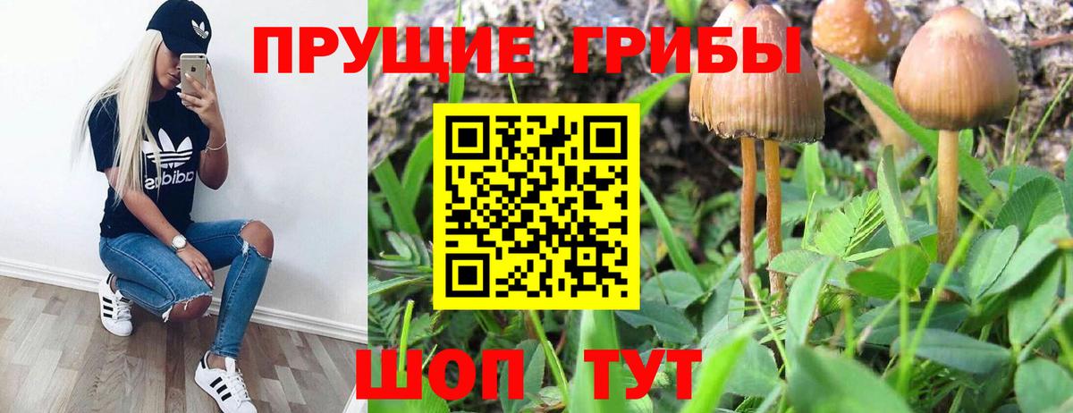 Галлюциногенные грибы Magic Shrooms Ливны